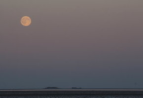Naturkundliche Wattwanderung zum Sonnenunter- und Vollmondaufgang im Nieblumer Watt
