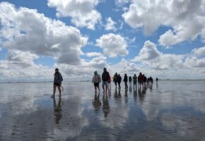 Kleine Wattwanderung auf F&ouml;hr