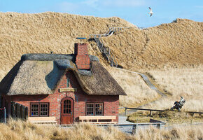 Vogelkundliche Führung