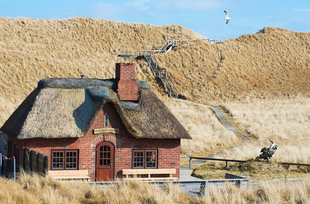 Vogelkundliche Führung