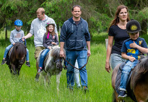 Gef&uuml;hrtes Ponyreiten auf sch&ouml;nem Wiesengel&auml;nde, ca. 20 Min.
