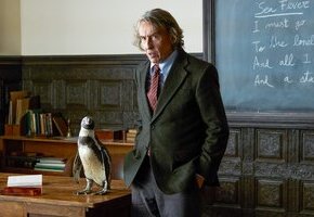 Der Pinguin meines Lebens
