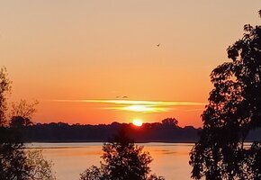 "F&ouml;hr Tours" &ndash; Naturkundliche und ornithologische F&uuml;hrungen