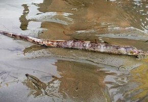 IMG_20230717_185323 Korrektur