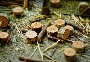 Holzscheiben verzieren mit MaikeMoin