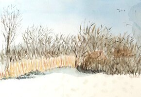 Benefiz-Ausstellung zugunsten der Föhrer Tafel e.V. 15.-25.06.2025 – Heute Midsummer-Sale 18:00-21:00 Uhr