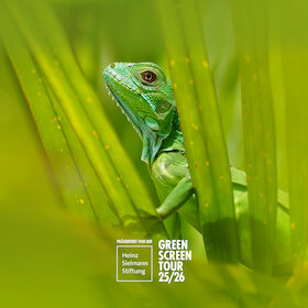 Das Green Screen Festivalmotiv