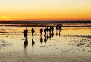 Wattwanderung SonnenUntergang