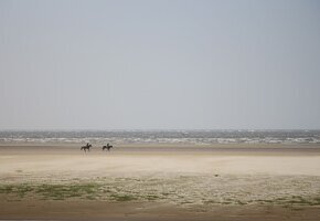 Reiten