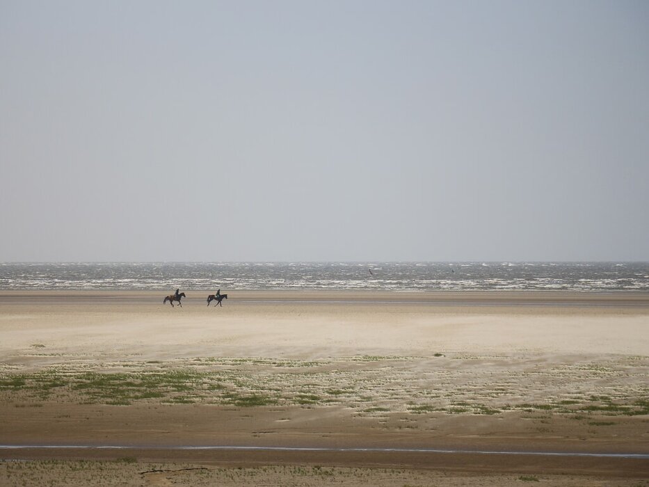 Reiten