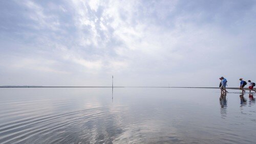 Wattwanderung von Amrum nach Föhr