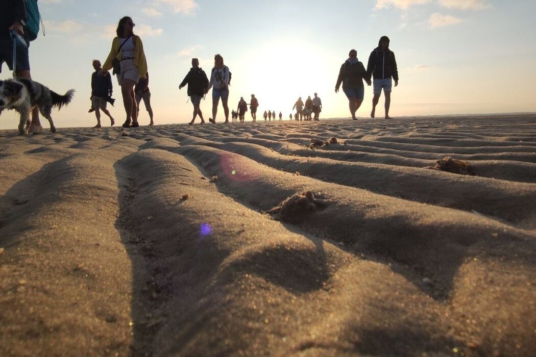 Die unendlichen Weiten des Wattes &ndash; Gef&uuml;hrte Wattwanderung Wyk S&uuml;dstrand