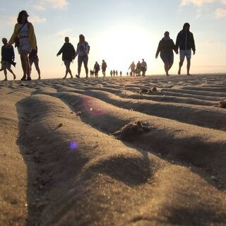 Die unendlichen Weiten des Wattes &ndash; Gef&uuml;hrte Wattwanderung Wyk S&uuml;dstrand