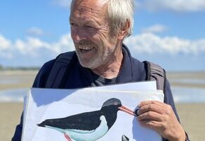 Naturkundliche Wattwanderung im Nieblumer Watt