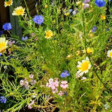 Landgarten-Zeit