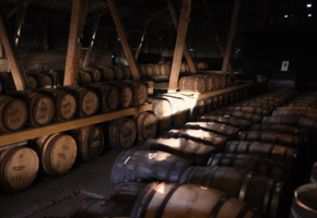 Whisky-Verkostungsseminar – Whiskyreifung zwischen Ebbe & Flut
