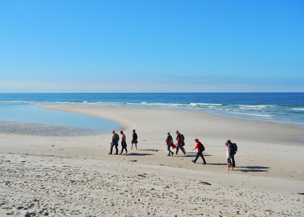 F&uuml;hrung: Der wei&szlig;e Strand von Amrum