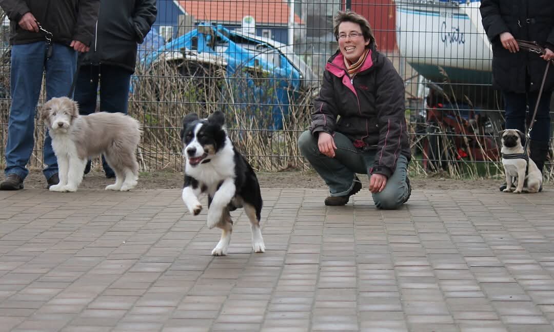 Rund um den Hund &ndash; Hundestunde
