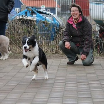 Rund um den Hund &ndash; Hundestunde