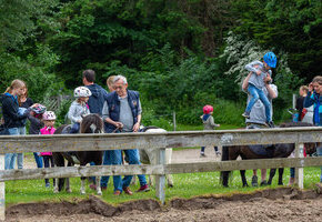Geführtes Ponyreiten auf schönem Wiesengelände, ca. 20 Min.