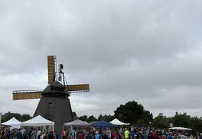 "Kulturpark" an der Mühle