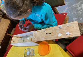 Schatzsuche im Sperrgutbasar