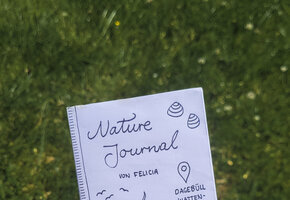 20260622_naturejournaling_HHK_FeliciaWand-3