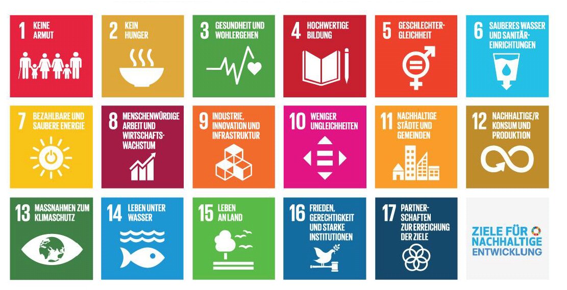 Die 17 globalen Ziele für nachhaltige Entwicklung der Agenda 2030, die Sustainable Development Goals (SDGs)