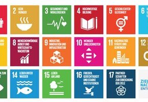 Die 17 globalen Ziele für nachhaltige Entwicklung der Agenda 2030, die Sustainable Development Goals (SDGs)