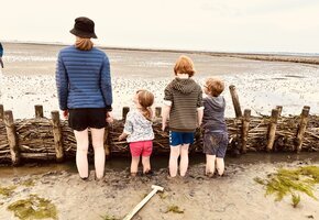 Wattwandern von F&ouml;hr nach Amrum mit der WATTfriesin &ndash; echt & friesisch!