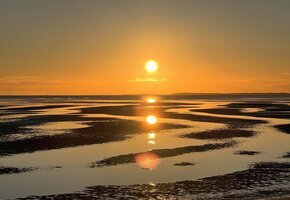 Naturkundliche Wattwanderung zum Sonnenunter- und Vollmondaufgang im Nieblumer Watt