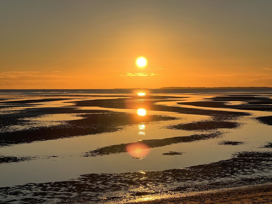Naturkundliche Wattwanderung zum Sonnenunter- und Vollmondaufgang im Nieblumer Watt
