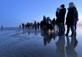 Naturkundliche Wattwanderung zum Sonnenunter- und Vollmondaufgang im Nieblumer Watt
