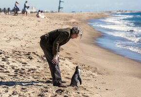 Der Pinguin meines Lebens
