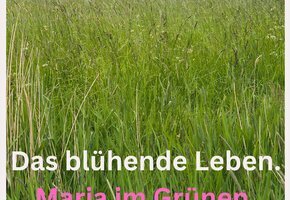 Einladung