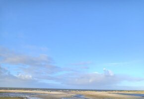 "F&ouml;hr Tours" &ndash; Naturkundliche und ornithologische F&uuml;hrungen