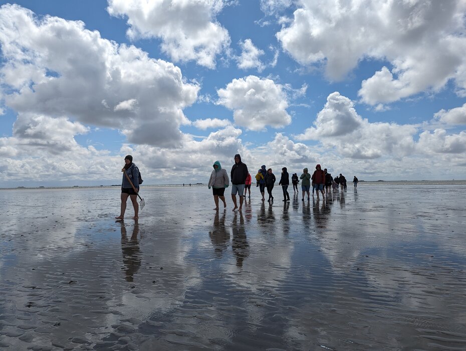 Kleine Wattwanderung auf F&ouml;hr