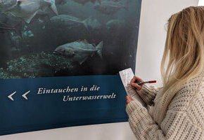 FÄLLT LEIDER AUS !!!
Watt´n Escape im Nationalpark Haus - Schafft ihr es der Flut zu entkommen?