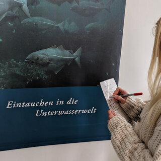 FÄLLT LEIDER AUS !!!
Watt´n Escape im Nationalpark Haus - Schafft ihr es der Flut zu entkommen?