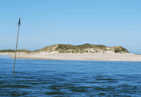 Wattwanderung von Amrum nach Föhr