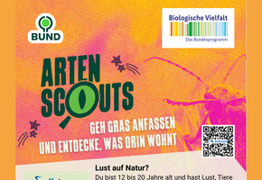nkm-niebuell_artenscouts-1