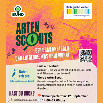 nkm-niebuell_artenscouts-1