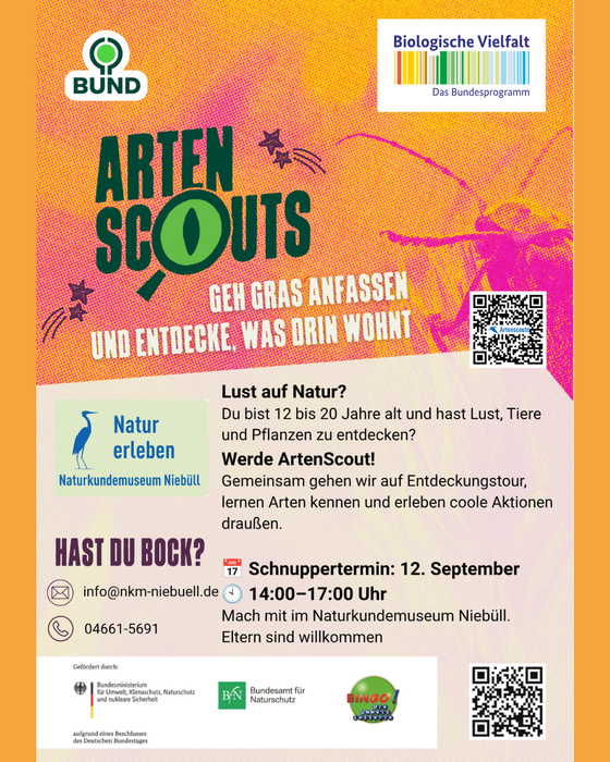 nkm-niebuell_artenscouts-1