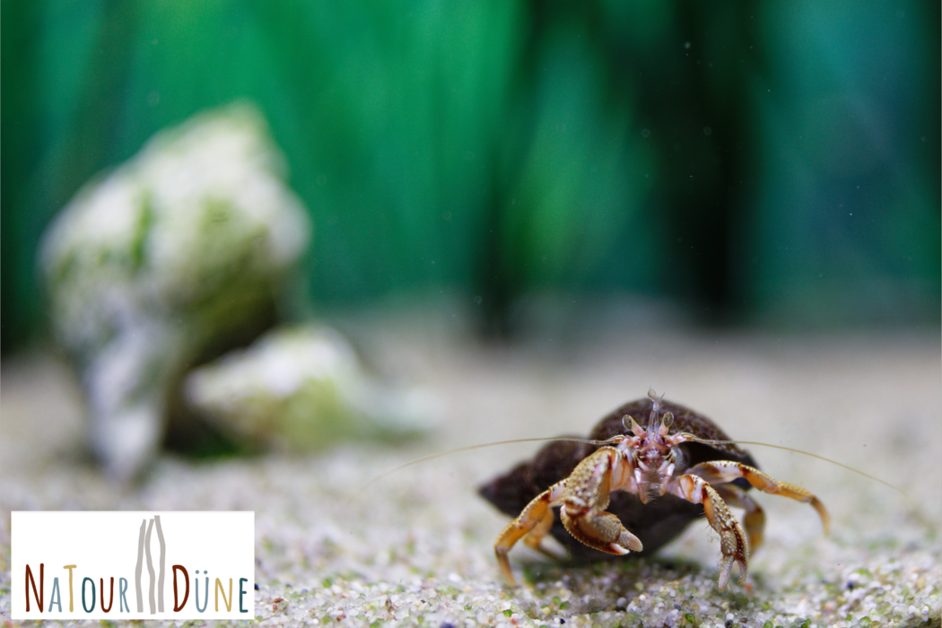 Ausstellungsführung