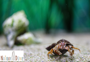 Ausstellungsführung