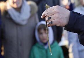 Naturkundliche Wattwanderung im Nieblumer Watt
