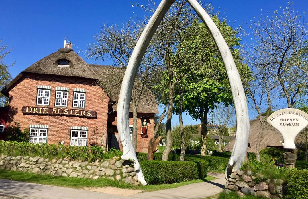 Kinderf&uuml;hrung Pottwalzahn und Feuerschlag f&uuml;r Kinder ab 6 Jahren.