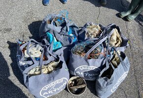 Strandreinigung auf Amrum