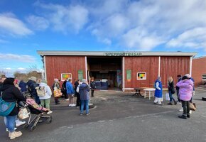 Schatzsuche im Sperrgutbasar