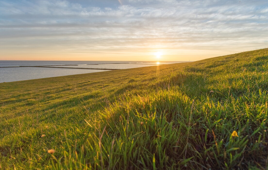 Fr&uuml;hst&uuml;ck am Deich &ndash; Wadden Sea Day 